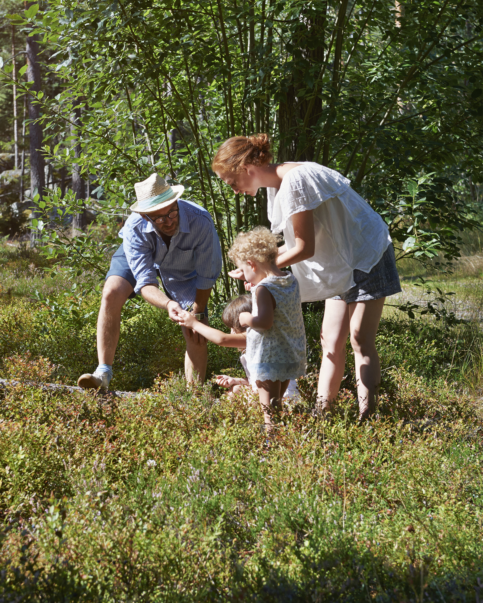 perhe poimimassa marjoja metsässä