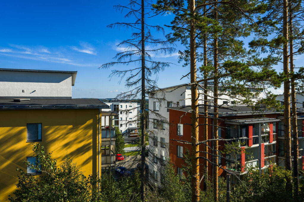 Jyväskylän mannisenmäki